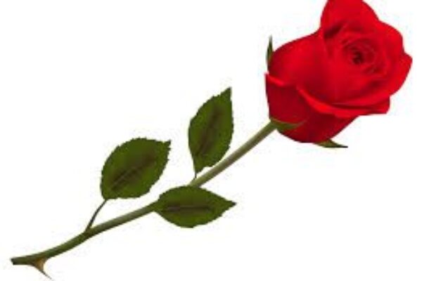 LITTLE FLOWER WOMAN OF DISTINCTION AWARD – NOMINATION